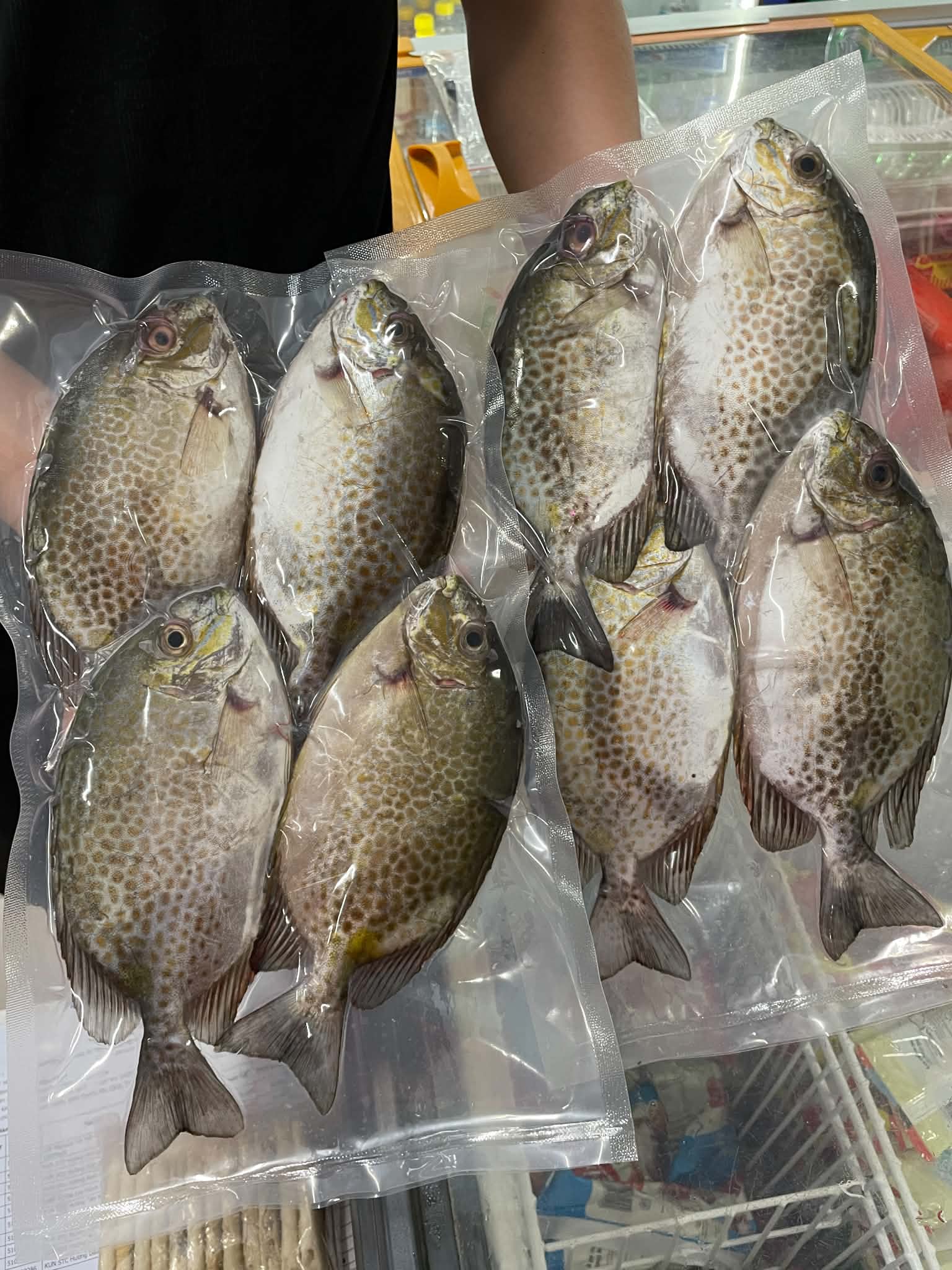 Cá Dìa (3-5 con / kg) - Ảnh 2